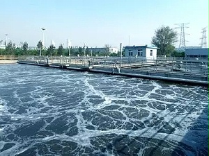 含油廢水處理方案，隻告訴圈内人，不要外傳！